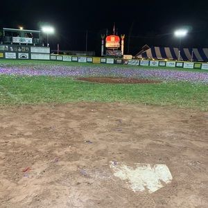 Meet your Posher, Malachi